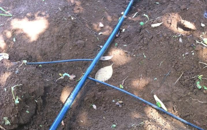 Ống nhựa HDPE được ứng dụng trong xây dựng hệ thống tưới tiêu